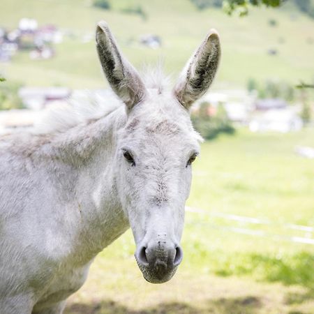 Untersillerhof Villa Neustift im Stubaital Bagian luar foto